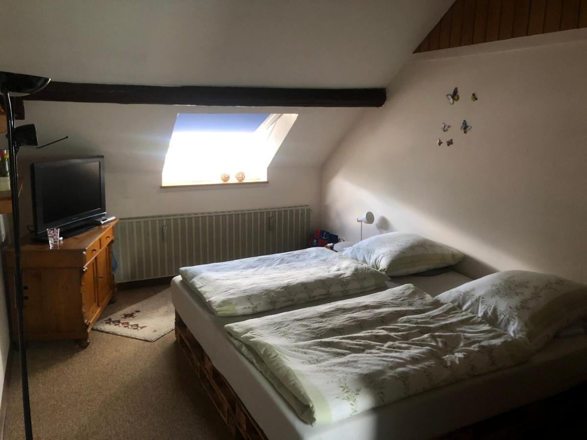 Ironico Homestay 4 Schlafzimmer Ferienwohnung 100 M2 Nahe Bostalsee Eisen  Εξωτερικό φωτογραφία